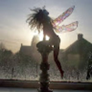 Meet your Posher, Leslie